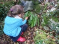 Fairy Herb houses