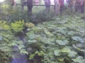 smallWP_005552