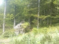 smallWP_005611
